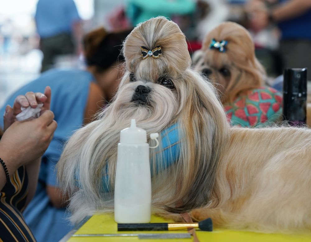 What You See Is What You Get?